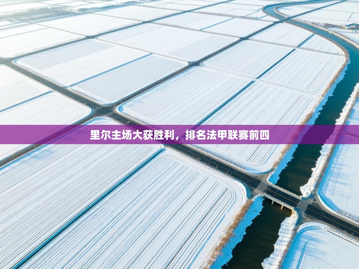 里尔主场大获胜利，排名法甲联赛前四