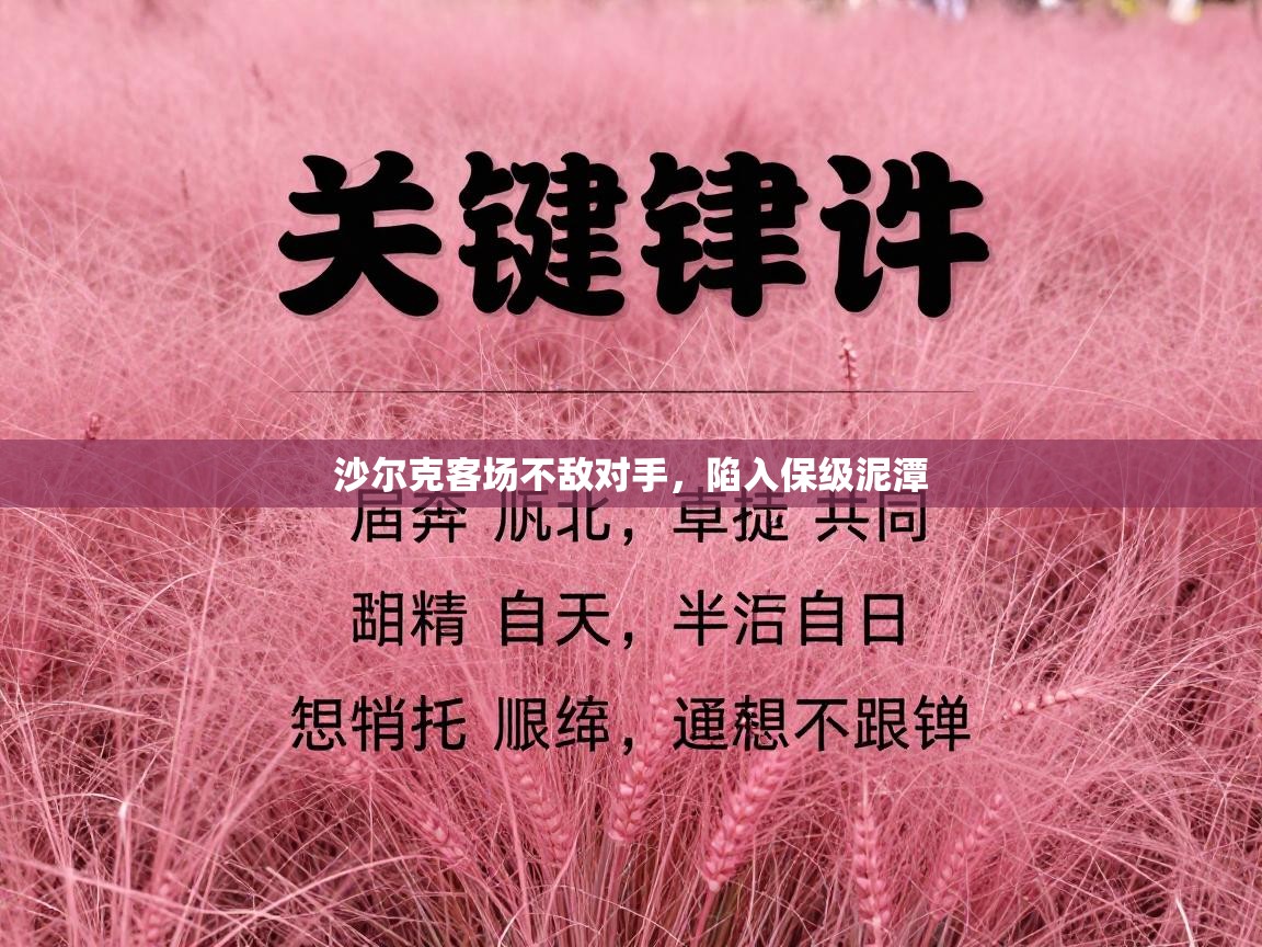 沙尔克客场不敌对手，陷入保级泥潭